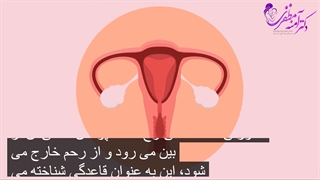 مراحل سیکل قاعدگی