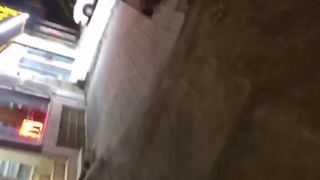 پنجره دو جداره ویرا