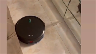 جارورباتیک سگوبو