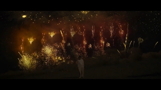 موزیک ویدیو Wild Flower(گل وحشی)از نامجون بی تی اس (باهمکاری یوجین)