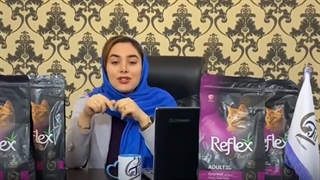 بهترین غذا بری گربه های بدغذا
