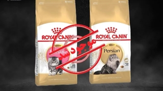 غذاهای گربه رویال کنین در پت شاپ تام و جری