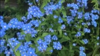 جلوهء جنون خیزد از اشکِ تصویرم