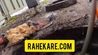 لوله بازکنی خیابان رسالت