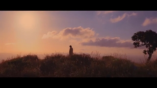 RM | Wild Flower | MV