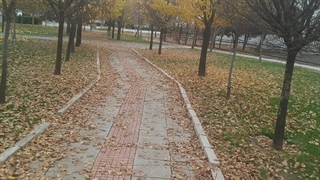 اولین برف ۱۴۰۱، آرزو حاجی خانی