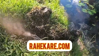 لوله بازکنی شهرک محلاتی