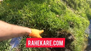 لوله بازکنی چیتگر