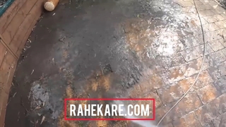 لوله بازکنی سردار جنگل