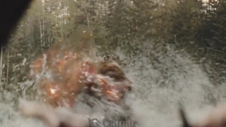 نبرد خشن و جذاب خرس با فضایی ناشناخته