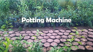 گلدان پرکن اتوماتیک تیداپارس-ماشینهای تولید گل