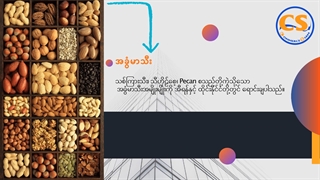 گروه بازرگانی سیام