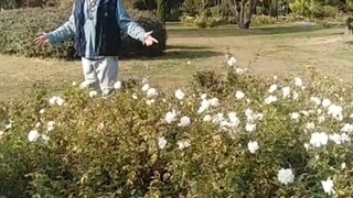 اِرمیس عاشق