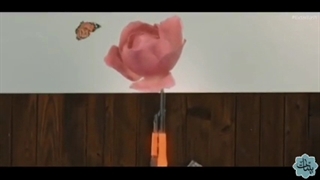 آیا اعدامِ افراد محارب، دستور دین است؟  آقا میری چه می گوید؟ مگر میشود که خداوند مهربان، با اعدام و خشونت موافق باشد؟