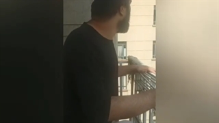 ارمیس و رویای شهرت