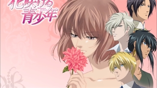 اوپنینگ / تیتراژ انیمه شکوفایی جوانی _ Hanasakeru Seishounen Opening