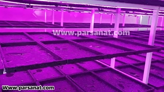 کشت علوفه هیدروپونیک در شهر رزن (قسمت چهارم)