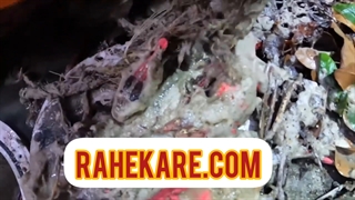 لوله بازکنی تهرانپارس