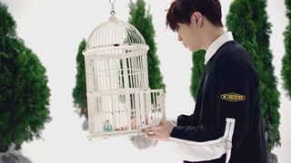 موزیک ویدیو Hard Carry از گاتسون با زیرنویس فارسی