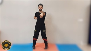 فرم سیو نیم تائو وینگ چون