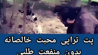 ارمیس روانشناسی