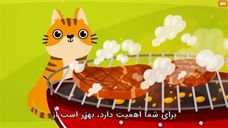 غذاهای انسان که برای گربه ها نیز مناسب است