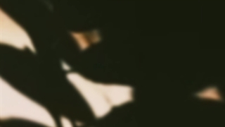 منم واسه همین کاراشون دوسشون دارم