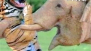 داستان دیجیتال