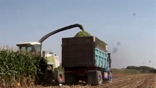 تغییر فرهنگ غذایی