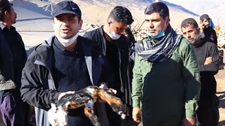 14011000: فعالیت های موسسه مصاف در مناطق زلزله زده اندیکا - دی 1400