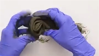 33 FANTASTIC CEMENT AND CLAY DIY IDEAS 15