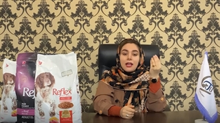 غذای سگ رفلکس و غذای سگ رفلکس پلاس های انرژی