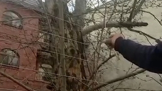 تست اتصال کوتاه فنس الکتریکی هوشمند