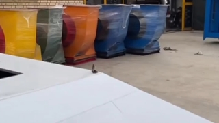 تولید انواع هود جزیره ای و ایتالیایی توسط شرکت کولاک فن در گناوه