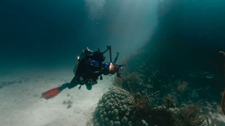 ۳۶۰ درجه دنیای زیر آب دریا طبیعت