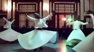 طوطی عطار کاری از مسلم عبداللهی