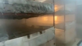 تولید مه سرد و بخار سرد سالن09190951834