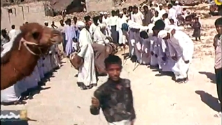 جزیره قشم
