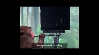 تراشه نورالینک ایلان ماسک چه تاثیری بر آینده بشر خواهد داشت