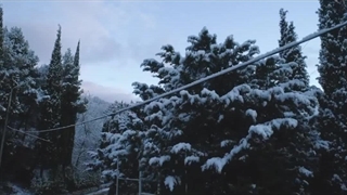 ویدیویی زیبا