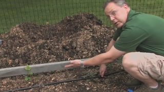 آموزش مقدماتی نصب آبیاری قطره ای - Preliminary training for installing drip irrigation