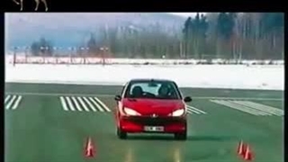 تست گوزن پژو 206