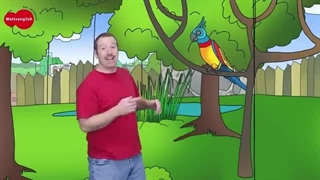 ZOO Animals for Kids