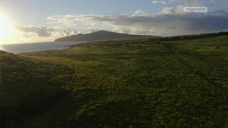 ذهن جستجوگر من ؛ 2019 ؛ فصل 2 ؛ قسمت 8