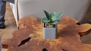 میز عسلی کالباسی