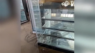 یخچال شیرینی فروشی