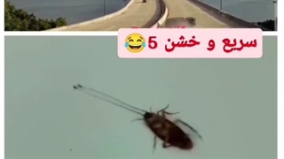 سریع و خشن ۵. خنده. خنده. خنده