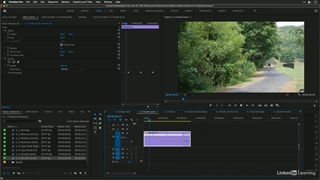 آموزش چگونه آن کار را در پریمیر پرو انجام دهم - گرافیسم