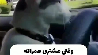 وقتی مشتری همراته و توهم کوچه رو گم کردی