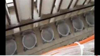 دستگاه پرکن 8 لاین خطی دهانه 75 توان صنعت | 09152000050